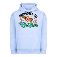 Pigment Grape Ice promoted to big brother Urban Hoodie - Artiststas