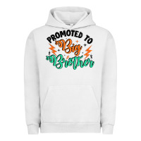 Pigment Lunar Rock promoted to big brother Urban Hoodie - Artiststas