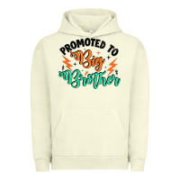 Pigment Pistachio promoted to big brother Urban Hoodie - Artiststas