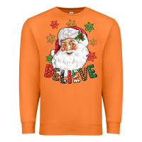 Carrot Believe Christmas Premium Sweatshirt - NancyCooperArtShop