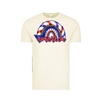 Vintage Arctic America rainbow Vintage Tee - texasbilliewilder