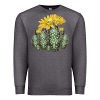 Charcoal Heather texas rainbow cactus Premium Sweatshirt - LillyAllenDesigns