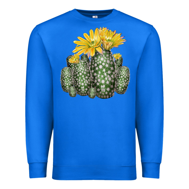 Texas Rainbow Cactus Premium Sweatshirt by LillyAllenDesigns | Teevron