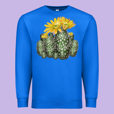 Texas Rainbow Cactus Premium Sweatshirt Designed By Lillyallendesigns