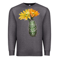 Charcoal Heather texas rainbow cactus Premium Sweatshirt - LillyAllenDesigns