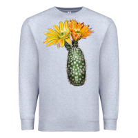 Heather Grey texas rainbow cactus Premium Sweatshirt - LillyAllenDesigns
