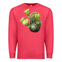 Cardinal nylon hedgehog cactus Premium Sweatshirt - LillyAllenDesigns