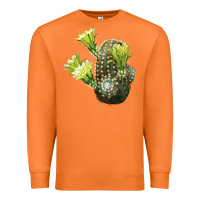 Carrot nylon hedgehog cactus Premium Sweatshirt - LillyAllenDesigns