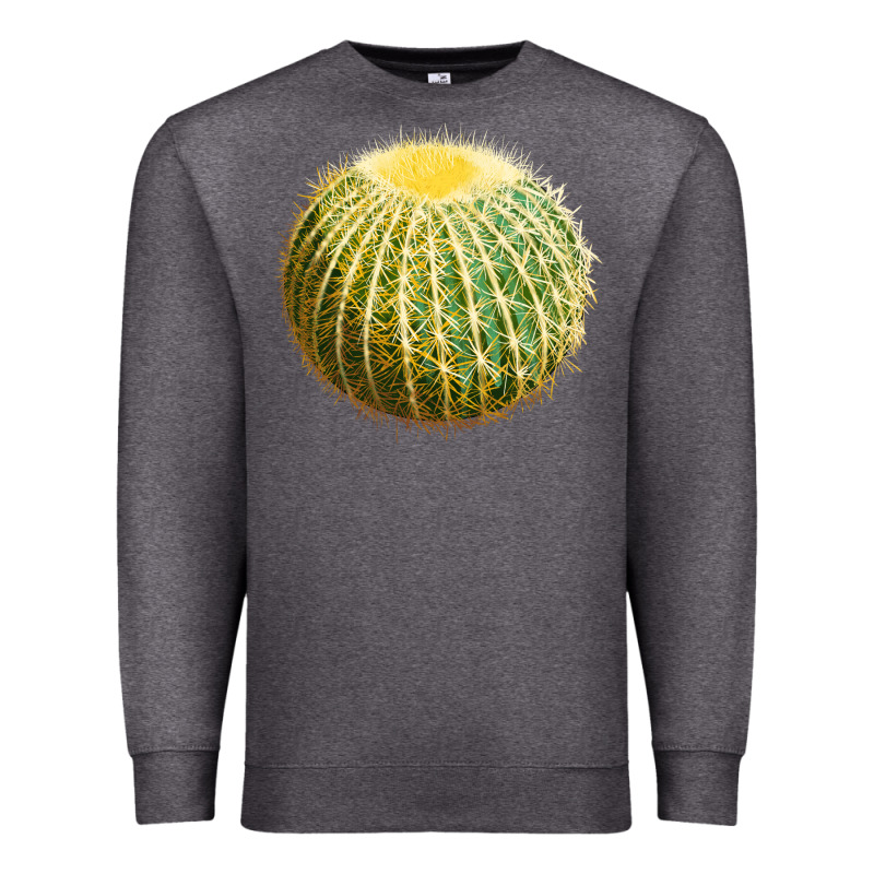 Golden Barrel Cactus Premium Sweatshirt by LillyAllenDesigns | Teevron