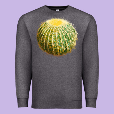 Golden Barrel Cactus Premium Sweatshirt Designed By Lillyallendesigns