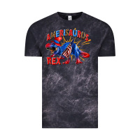 Cloud Black Amerisaurus rex Vintage Tee - texasbilliewilder
