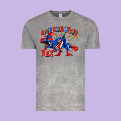 Vintage Tee Amerisaurus rex