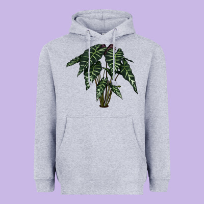 Amazon Elephant Ear Heavyweight Hoodie Designed By Lillyallendesigns
