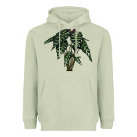 Matcha Amazon Elephant Ear Heavyweight Hoodie - LillyAllenDesigns
