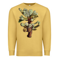 Antique Gold cholla tree cactus Premium Sweatshirt - LillyAllenDesigns