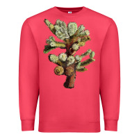Cardinal cholla tree cactus Premium Sweatshirt - LillyAllenDesigns