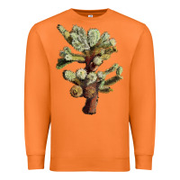Carrot cholla tree cactus Premium Sweatshirt - LillyAllenDesigns
