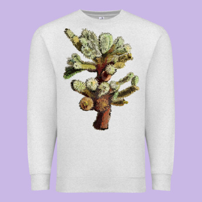 Cholla Tree Cactus Premium Sweatshirt Designed By Lillyallendesigns