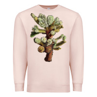 Pale Pink cholla tree cactus Premium Sweatshirt - LillyAllenDesigns