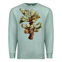 Seafoam cholla tree cactus Premium Sweatshirt - LillyAllenDesigns