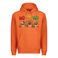 Carrot ho ho ho reindeer Premium Hoodie - MaliasSmallBusiness