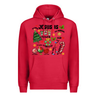 Cardinal religious christmas Premium Hoodie - MaliasSmallBusiness