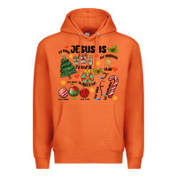 Carrot religious christmas Premium Hoodie - MaliasSmallBusiness