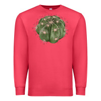 Cardinal eagle claws cactus Premium Sweatshirt - LillyAllenDesigns