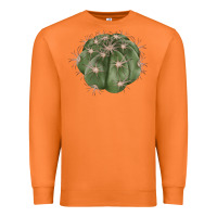 Carrot eagle claws cactus Premium Sweatshirt - LillyAllenDesigns