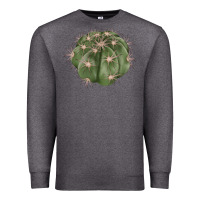 Charcoal Heather eagle claws cactus Premium Sweatshirt - LillyAllenDesigns