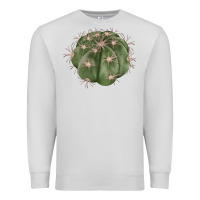 Dove Grey eagle claws cactus Premium Sweatshirt - LillyAllenDesigns
