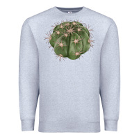 Heather Grey eagle claws cactus Premium Sweatshirt - LillyAllenDesigns