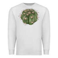 Oatmeal Heather eagle claws cactus Premium Sweatshirt - LillyAllenDesigns