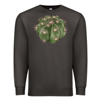 Smoke eagle claws cactus Premium Sweatshirt - LillyAllenDesigns