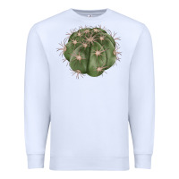 Eagle Claws Cactus Premium Sweatshirt | Teevron