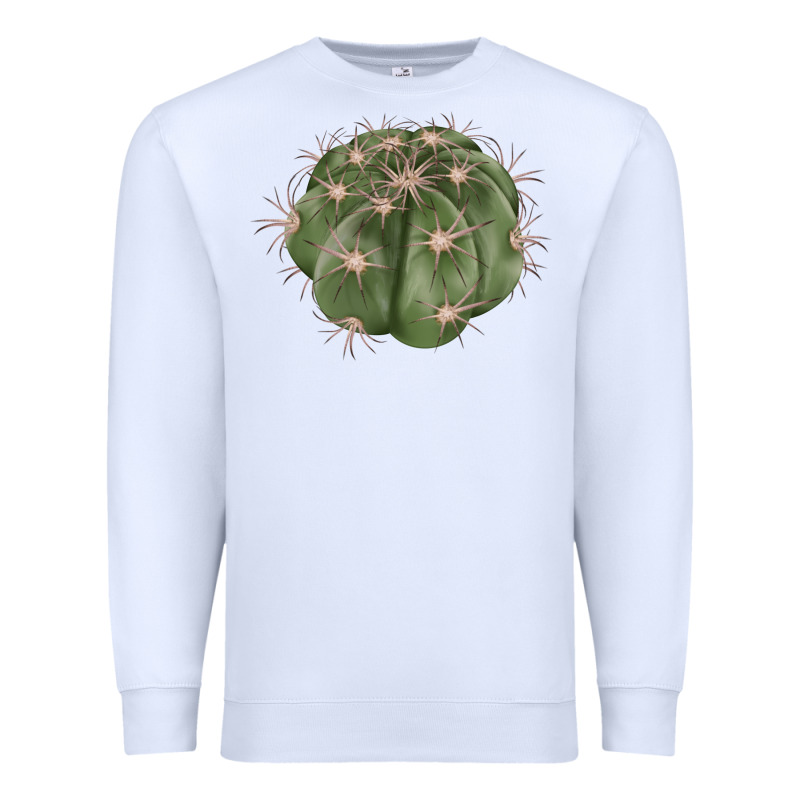 Eagle Claws Cactus Premium Sweatshirt by LillyAllenDesigns | Teevron