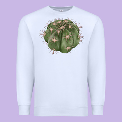 Eagle Claws Cactus Premium Sweatshirt Designed By Lillyallendesigns