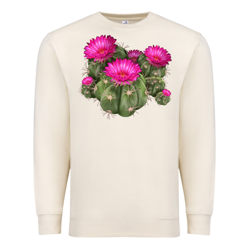 Eagle Claws Cacti Premium Sweatshirt by LillyAllenDesigns | Teevron
