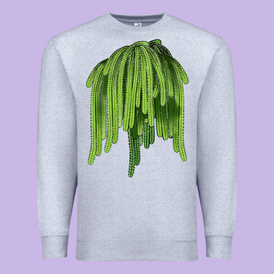 Selenicereus Cactus Premium Sweatshirt Designed By Lillyallendesigns