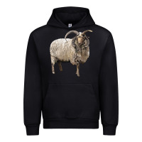 Black navajo churro sheep Urban Hoodie - LillyAllenDesigns
