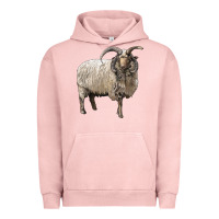 Pigment Salmon navajo churro sheep Urban Hoodie - LillyAllenDesigns