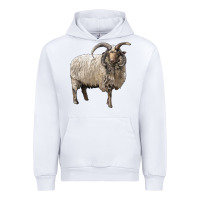 White navajo churro sheep Urban Hoodie - LillyAllenDesigns