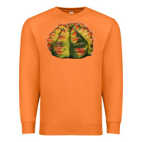 Carrot Gymnocalycium Variegated Cactus Premium Sweatshirt - LillyAllenDesigns
