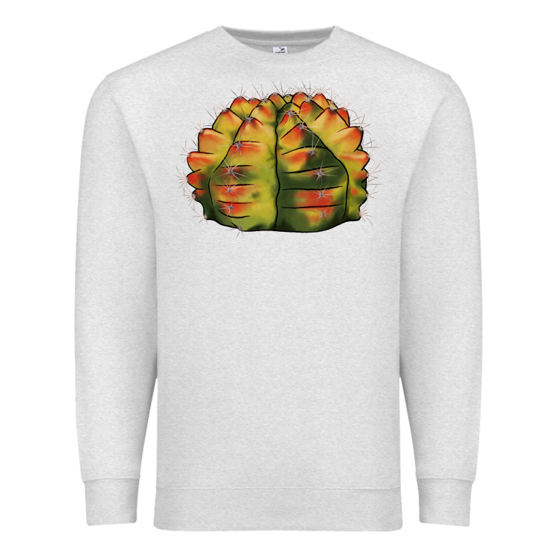 Gymnocalycium Variegated Cactus Premium Sweatshirt by LillyAllenDesigns | Teevron