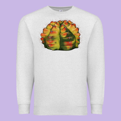 Gymnocalycium Variegated Cactus Premium Sweatshirt Designed By Lillyallendesigns
