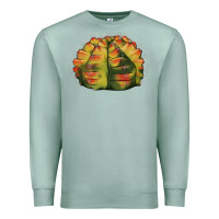 Seafoam Gymnocalycium Variegated Cactus Premium Sweatshirt - LillyAllenDesigns