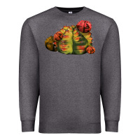 Charcoal Heather Gymnocalycium Variegated Cactus Premium Sweatshirt - LillyAllenDesigns