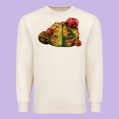 Gymnocalycium Variegated Cactus Premium Sweatshirt Designed By Lillyallendesigns