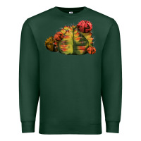 Sports Green Gymnocalycium Variegated Cactus Premium Sweatshirt - LillyAllenDesigns