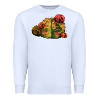 White Gymnocalycium Variegated Cactus Premium Sweatshirt - LillyAllenDesigns